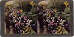 [14 Stereographic Views of Conservatory, Central Park, New York], Various, American, Albumen silver prints