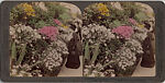 [14 Stereographic Views of Conservatory, Central Park, New York], Various, American, Albumen silver prints