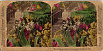 [14 Stereographic Views of Conservatory, Central Park, New York], Various, American, Albumen silver prints