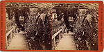 [14 Stereographic Views of Conservatory, Central Park, New York], Various, American, Albumen silver prints