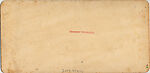 [14 Stereographic Views of Dairy, Central Park, New York], Various, American, Albumen silver prints