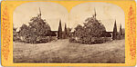 [14 Stereographic Views of Dairy, Central Park, New York], Various, American, Albumen silver prints