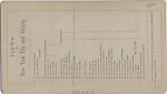 [14 Stereographic Views of Dairy, Central Park, New York], Various, American, Albumen silver prints