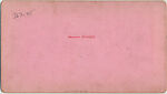 [14 Stereographic Views of Dairy, Central Park, New York], Various, American, Albumen silver prints