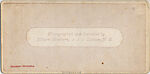 [14 Stereographic Views of Dairy, Central Park, New York], Various, American, Albumen silver prints