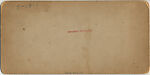 [14 Stereographic Views of Dairy, Central Park, New York], Various, American, Albumen silver prints