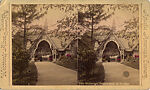 [14 Stereographic Views of Dairy, Central Park, New York], Various, American, Albumen silver prints