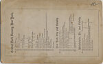 [44 Stereographic Views of Mount St. Vincent, Central Park, New York], Various, American, Albumen silver prints