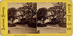 [44 Stereographic Views of Mount St. Vincent, Central Park, New York], Various, American, Albumen silver prints