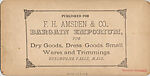 [44 Stereographic Views of Mount St. Vincent, Central Park, New York], Various, American, Albumen silver prints