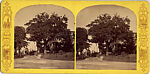 [44 Stereographic Views of Mount St. Vincent, Central Park, New York], Various, American, Albumen silver prints