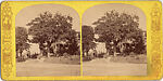 [44 Stereographic Views of Mount St. Vincent, Central Park, New York], Various, American, Albumen silver prints