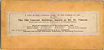 [44 Stereographic Views of Mount St. Vincent, Central Park, New York], Various, American, Albumen silver prints