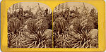 [44 Stereographic Views of Mount St. Vincent, Central Park, New York], Various, American, Albumen silver prints