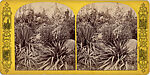 [44 Stereographic Views of Mount St. Vincent, Central Park, New York], Various, American, Albumen silver prints