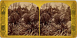 [44 Stereographic Views of Mount St. Vincent, Central Park, New York], Various, American, Albumen silver prints