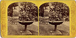 [44 Stereographic Views of Mount St. Vincent, Central Park, New York], Various, American, Albumen silver prints