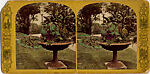 [44 Stereographic Views of Mount St. Vincent, Central Park, New York], Various, American, Albumen silver prints