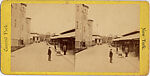 [14 Stereographic Views of the Menagerie, Central Park, New York], Various, American, Albumen silver prints