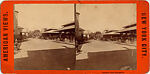 [14 Stereographic Views of the Menagerie, Central Park, New York], Various, American, Albumen silver prints
