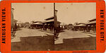 [14 Stereographic Views of the Menagerie, Central Park, New York], Various, American, Albumen silver prints