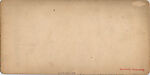 [14 Stereographic Views of the Menagerie, Central Park, New York], Various, American, Albumen silver prints
