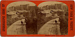 [14 Stereographic Views of the Menagerie, Central Park, New York], Various, American, Albumen silver prints