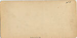 [14 Stereographic Views of the Menagerie, Central Park, New York], Various, American, Albumen silver prints