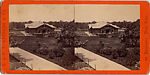 [14 Stereographic Views of the Menagerie, Central Park, New York], Various, American, Albumen silver prints