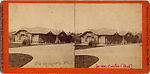 [14 Stereographic Views of the Menagerie, Central Park, New York], Various, American, Albumen silver prints
