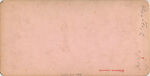 [14 Stereographic Views of the Menagerie, Central Park, New York], Various, American, Albumen silver prints