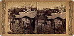 [14 Stereographic Views of the Menagerie, Central Park, New York], Various, American, Albumen silver prints