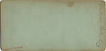 [14 Stereographic Views of the Menagerie, Central Park, New York], Various, American, Albumen silver prints