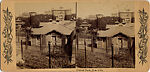 [14 Stereographic Views of the Menagerie, Central Park, New York], Various, American, Albumen silver prints
