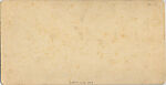 [67 Stereographic Views of Music Stand, Central Park, New York], Various, American, Albumen silver prints