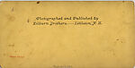 [19 Stereographic Views of Buildings Bordering the Park, Central Park, New York], Various, American, Albumen silver prints