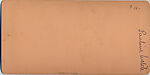 [19 Stereographic Views of Buildings Bordering the Park, Central Park, New York], Various, American, Albumen silver prints