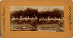 [19 Stereographic Views of Buildings Bordering the Park, Central Park, New York], Various, American, Albumen silver prints