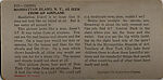 [19 Stereographic Views of Buildings Bordering the Park, Central Park, New York], Various, American, Albumen silver prints