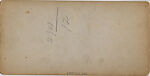 [24 Stereographic Views of Mineral Springs Pavillion, Central Park, New York], Various, American, Albumen silver prints