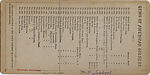 [24 Stereographic Views of Mineral Springs Pavillion, Central Park, New York], Various, American, Albumen silver prints