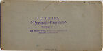 [24 Stereographic Views of Mineral Springs Pavillion, Central Park, New York], Various, American, Albumen silver prints