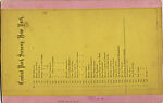 [24 Stereographic Views of Mineral Springs Pavillion, Central Park, New York], Various, American, Albumen silver prints