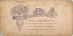 [68 Stereographic Views of Bethesda Fountain: Distant Views, Central Park, New York], Various, American, Albumen silver prints