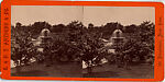 [68 Stereographic Views of Bethesda Fountain: Distant Views, Central Park, New York], Various, American, Albumen silver prints