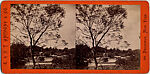 [68 Stereographic Views of Bethesda Fountain: Distant Views, Central Park, New York], Various, American, Albumen silver prints
