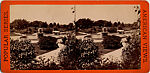 [68 Stereographic Views of Bethesda Fountain: Distant Views, Central Park, New York], Various, American, Albumen silver prints