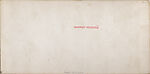 [68 Stereographic Views of Bethesda Fountain: Distant Views, Central Park, New York], Various, American, Albumen silver prints