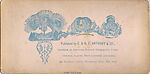 [68 Stereographic Views of Bethesda Fountain: Distant Views, Central Park, New York], Various, American, Albumen silver prints