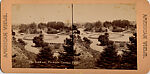 [68 Stereographic Views of Bethesda Fountain: Distant Views, Central Park, New York], Various, American, Albumen silver prints